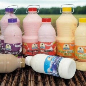 Yogurt natural con fruta